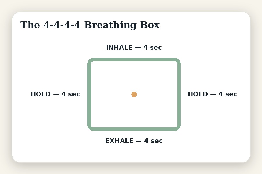 The 4-4-4-4 breathing box diagram: inhale 4 seconds, hold 4 seconds, exhale 4 seconds, hold 4 seconds
